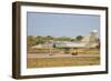 Brazilian Air Force Mirage 2000 at Natal Air Force Base, Brazil-Stocktrek Images-Framed Photographic Print