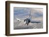 Brazilian Air Force Mirage 2000 Flying over Brazil-Stocktrek Images-Framed Premium Photographic Print
