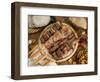 Brazilian Churrasco, Brazil, South America-Tondini Nico-Framed Photographic Print