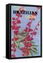 Brazilian Coffee, Beans-null-Framed Stretched Canvas