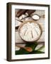 Brazilian Cuscus De Tapioca, Brazil, South America-Tondini Nico-Framed Photographic Print