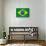 Brazilian Grunge Flag. A Flag Of Brazil With A Texture-TINTIN75-Art Print displayed on a wall