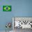 Brazilian Grunge Flag. A Flag Of Brazil With A Texture-TINTIN75-Stretched Canvas displayed on a wall