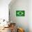 Brazilian Grunge Flag. A Flag Of Brazil With A Texture-TINTIN75-Stretched Canvas displayed on a wall