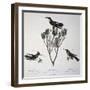 Brazilian Hummingbird, Color Engraving from Birds of a New Species by Brazil, Plate Lxxxii-Johann Baptist Ritter Von Spix-Framed Giclee Print