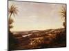 Brazilian Landscape with Plantation, Brazil-Franz Poledne-Mounted Giclee Print