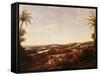 Brazilian Landscape with Plantation, Brazil-Franz Poledne-Framed Stretched Canvas