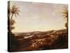 Brazilian Landscape with Plantation, Brazil-Franz Poledne-Stretched Canvas