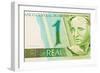 Brazilian Money-vtupinamba-Framed Art Print