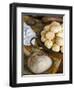 Brazilian Pao De Queijo, Cheese Bread, Brazil, South America-Tondini Nico-Framed Photographic Print