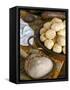 Brazilian Pao De Queijo, Cheese Bread, Brazil, South America-Tondini Nico-Framed Stretched Canvas