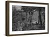 Brazilian Rainforest-null-Framed Art Print