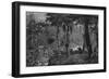 Brazilian Rainforest-null-Framed Art Print