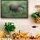 Brazilian Tapir Mother with Baby-Hal Beral-Framed Photographic Print displayed on a wall