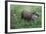 Brazilian Tapir Mother with Baby-Hal Beral-Framed Photographic Print