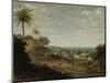 Brazilian Village-Frans Jansz Post-Mounted Art Print