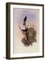 Brazilian Violet-Ear, Petasophora Serrirostris-John Gould-Framed Giclee Print