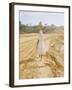 Brazilian Woman Walking Down a Sandy Road Carrying a Large Jar on Her Head-Dmitri Kessel-Framed Photographic Print