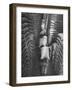 Brazilian Workers Carrying Large Sacks of Coffee Beans in Warehouse of Firm Lima, Noguera and Cia-John Phillips-Framed Premium Photographic Print