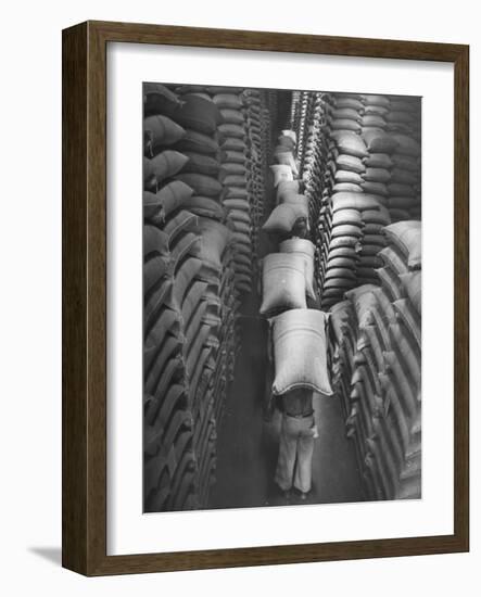 Brazilian Workers Carrying Large Sacks of Coffee Beans in Warehouse of Firm Lima, Noguera and Cia-John Phillips-Framed Photographic Print