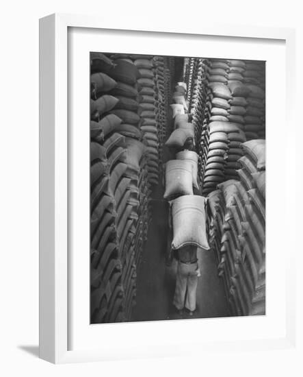 Brazilian Workers Carrying Large Sacks of Coffee Beans in Warehouse of Firm Lima, Noguera and Cia-John Phillips-Framed Photographic Print