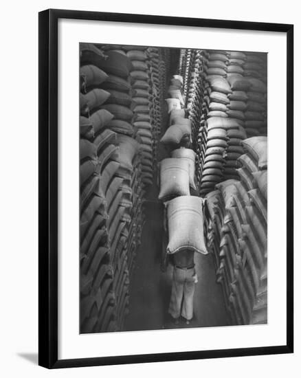 Brazilian Workers Carrying Large Sacks of Coffee Beans in Warehouse of Firm Lima, Noguera and Cia-John Phillips-Framed Photographic Print