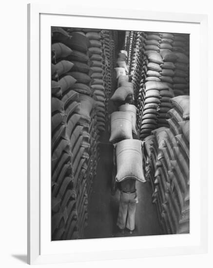Brazilian Workers Carrying Large Sacks of Coffee Beans in Warehouse of Firm Lima, Noguera and Cia-John Phillips-Framed Photographic Print