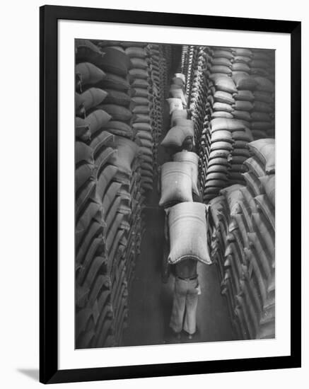 Brazilian Workers Carrying Large Sacks of Coffee Beans in Warehouse of Firm Lima, Noguera and Cia-John Phillips-Framed Photographic Print