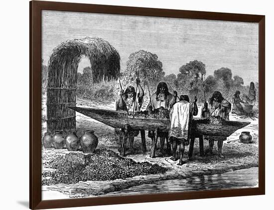 Brazilians Mashing Turtle Eggs-null-Framed Art Print