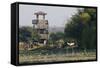 Brazos Bend State Park and Wetlands Near Houston, Texas, USA-Larry Ditto-Framed Stretched Canvas