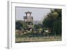 Brazos Bend State Park and Wetlands Near Houston, Texas, USA-Larry Ditto-Framed Photographic Print