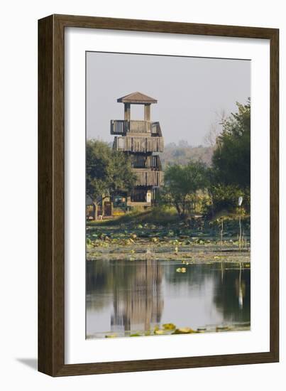 Brazos Bend State Park and Wetlands Near Houston, Texas, USA-Larry Ditto-Framed Photographic Print