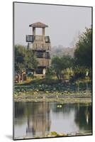 Brazos Bend State Park and Wetlands Near Houston, Texas, USA-Larry Ditto-Mounted Photographic Print