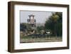 Brazos Bend State Park and Wetlands Near Houston, Texas, USA-Larry Ditto-Framed Photographic Print