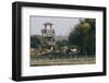 Brazos Bend State Park and Wetlands Near Houston, Texas, USA-Larry Ditto-Framed Photographic Print