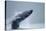 Breaching Humpback Whale, Alaska-Paul Souders-Stretched Canvas