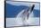 Breaching Humpback Whale, Alaska-Paul Souders-Framed Stretched Canvas