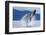 Breaching Humpback Whale, Alaska-Paul Souders-Framed Premium Photographic Print