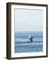 Breaching Orca at Boundary Pass, border between British Columbia Gulf Islands Canada and San Juan I-Stuart Westmorland-Framed Photographic Print