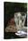 Bread and a glass of water during Lent, France-Godong-Stretched Canvas