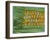 Bread and Butter-Barbara Keith-Framed Giclee Print