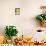 Bread and Olive Oil, Tuscany, Italy, Europe-null-Mounted Photographic Print displayed on a wall