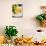 Bread and Olive Oil, Tuscany, Italy, Europe-null-Photographic Print displayed on a wall