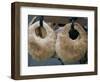 Bread on Cart, Beirut, Lebanon, Middle East-Alison Wright-Framed Photographic Print