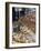 Bread Stall at the Italian Market at Walton-On-Thames, Surrey, England, United Kingdom, Europe-Hazel Stuart-Framed Photographic Print