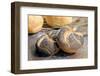 Bread with Poppy Seed-null-Framed Photographic Print