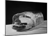 Bread Wrapped in Cellophane-Philip Gendreau-Mounted Photographic Print