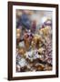 Breadcrumb Sponge-null-Framed Photographic Print