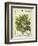 Breadfruit (Artocarpus Altilis), Watercolour by Delahaye, 1789-null-Framed Giclee Print