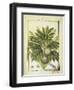 Breadfruit (Artocarpus Altilis), Watercolour by Delahaye, 1789-null-Framed Giclee Print